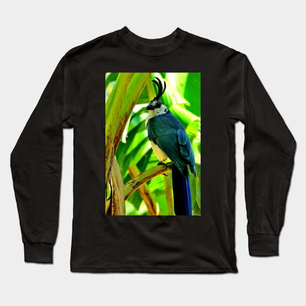 Nicaragua - Oiseau de l' ilsa de Ometepe Long Sleeve T-Shirt by franck380